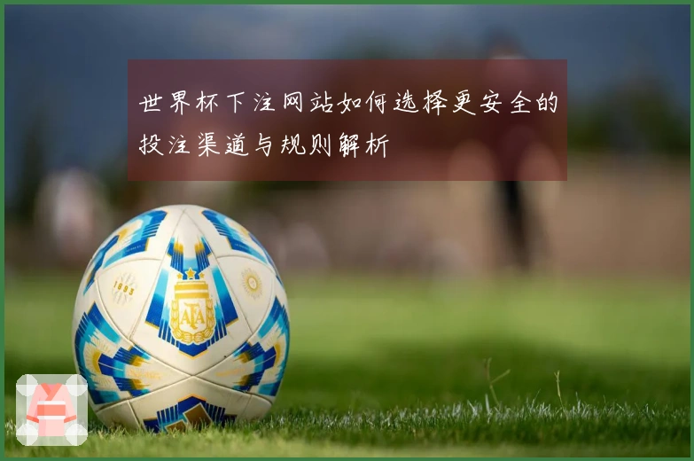 世界杯下注网站如何选择更安全的投注渠道与规则解析