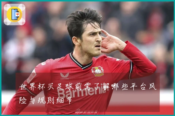 世界杯买足球前需了解哪些平台风险与规则细节