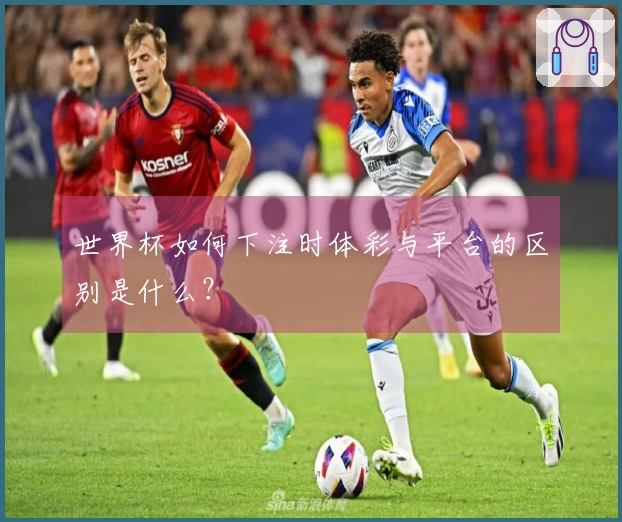 世界杯如何下注时体彩与平台的区别是什么？
