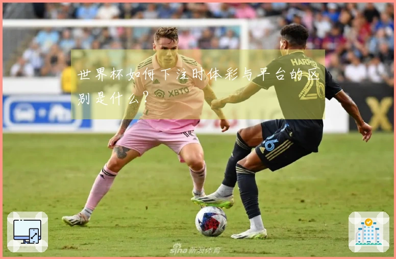 世界杯如何下注时体彩与平台的区别是什么？